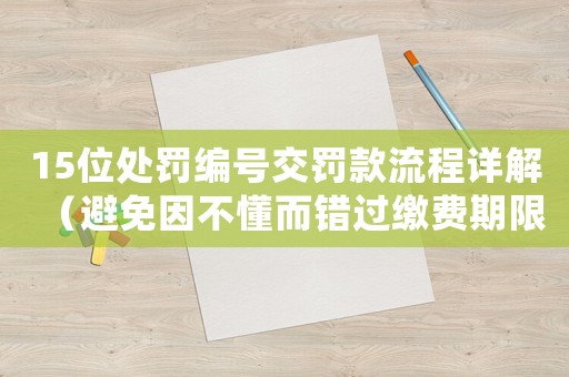 15位處罰編號交罰款流程詳解（避免因不懂而錯過繳費期限）