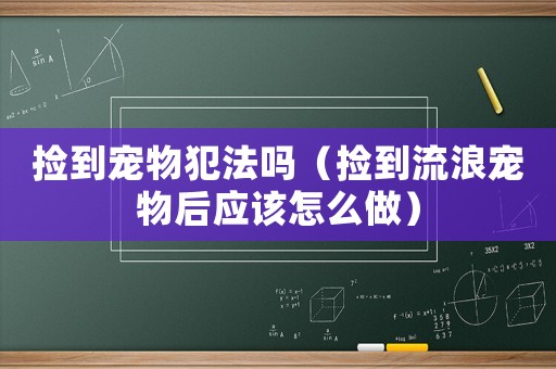 撿到寵物犯法嗎（撿到流浪寵物后應該怎么做）