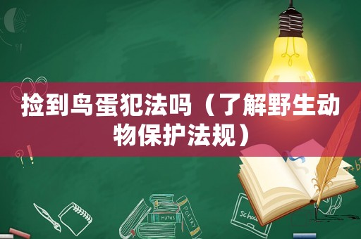 撿到鳥蛋犯法嗎（了解野生動物保護法規）