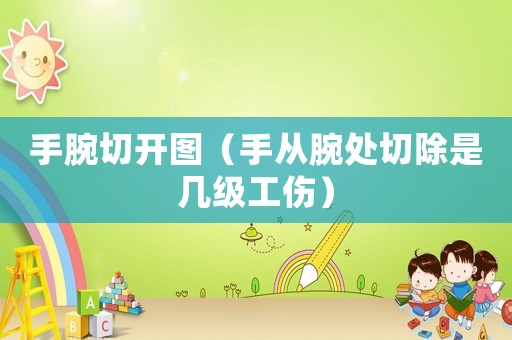 手腕切開圖（手從腕處切除是幾級工傷）