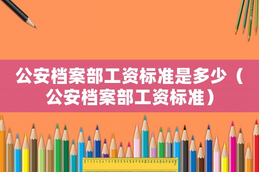 公安檔案部工資標準是多少（公安檔案部工資標準）