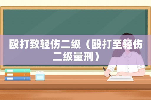毆打致輕傷二級（毆打至輕傷二級量刑）