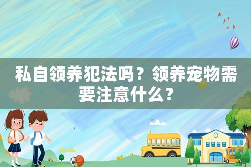 私自領養犯法嗎？領養寵物需要注意什么？