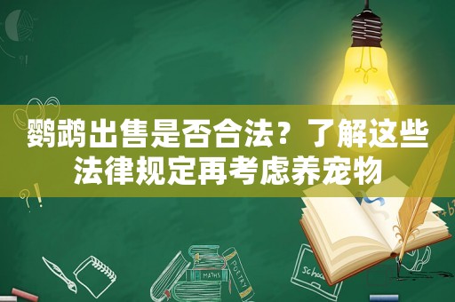 鸚鵡出售是否合法？了解這些法律規定再考慮養寵物