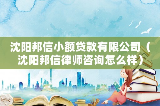 沈陽邦信小額貸款有限公司（沈陽邦信律師咨詢怎么樣）