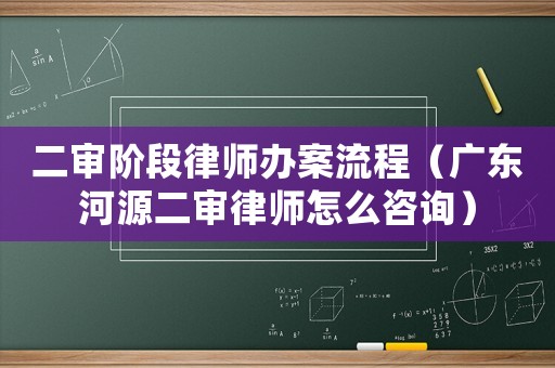 二審階段律師辦案流程（廣東河源二審律師怎么咨詢）