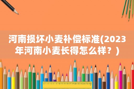 河南損壞小麥補償標準(2023年河南小麥長得怎么樣？)
