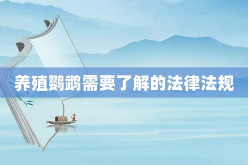 養殖鸚鵡需要了解的法律法規