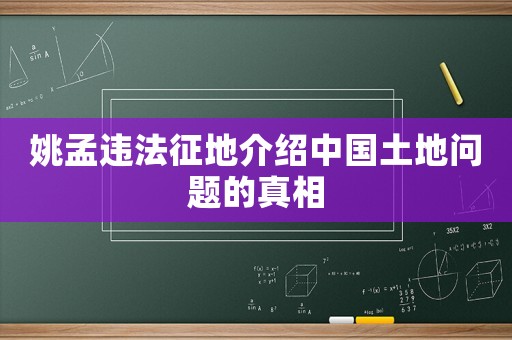 姚孟違法征地介紹中國土地問題的真相