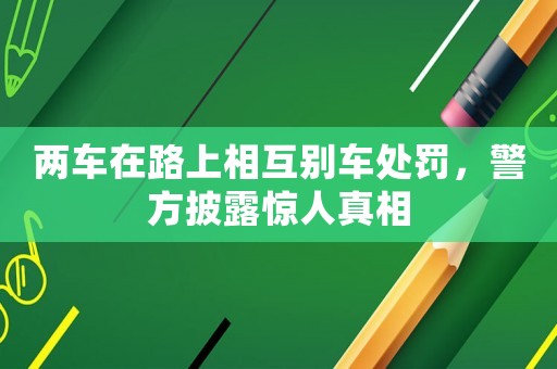 兩車在路上相互別車處罰，警方披露驚人真相