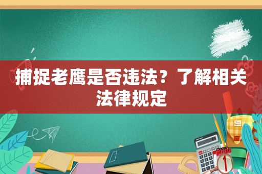 捕捉老鷹是否違法？了解相關法律規定
