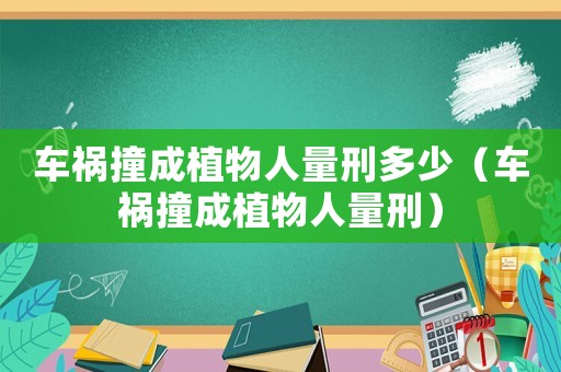 車禍撞成植物人量刑多少（車禍撞成植物人量刑）