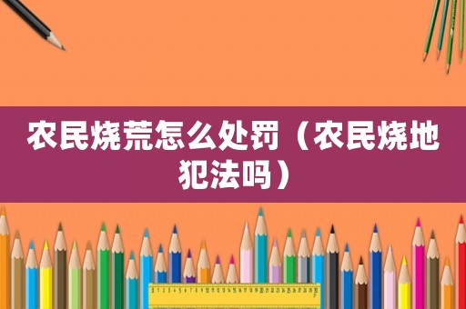 農民燒荒怎么處罰（農民燒地犯法嗎）