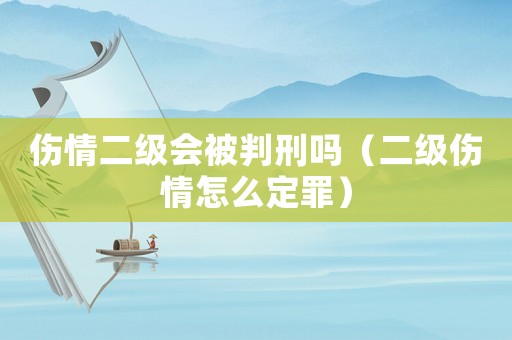 傷情二級會被判刑嗎（二級傷情怎么定罪）