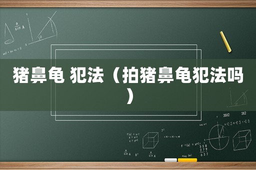 豬鼻龜 犯法（拍豬鼻龜犯法嗎）