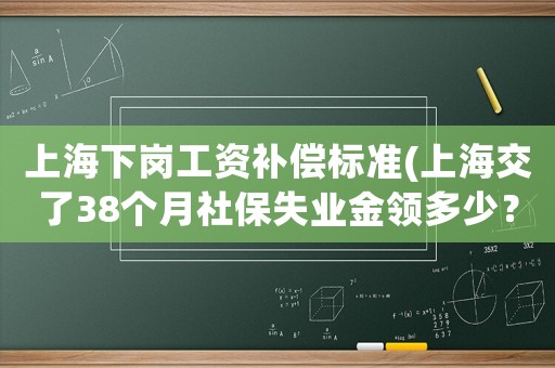上海下崗工資補(bǔ)償標(biāo)準(zhǔn)(上海交了38個月社保失業(yè)金領(lǐng)多少？)
