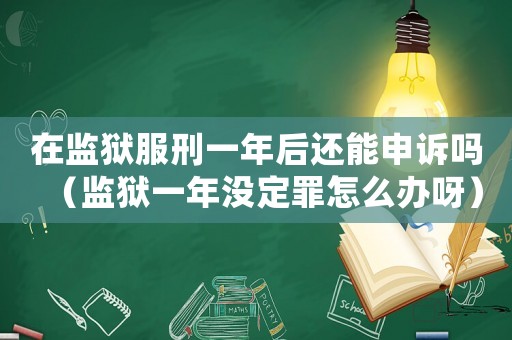 在監獄服刑一年后還能申訴嗎（監獄一年沒定罪怎么辦呀）