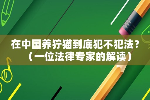 在中國養獰貓到底犯不犯法？（一位法律專家的解讀）
