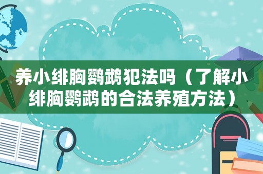 養(yǎng)小緋胸鸚鵡犯法嗎（了解小緋胸鸚鵡的合法養(yǎng)殖方法）