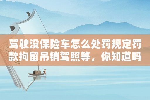 駕駛沒保險車怎么處罰規定罰款拘留吊銷駕照等，你知道嗎？