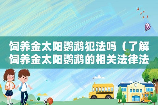 飼養(yǎng)金太陽鸚鵡犯法嗎（了解飼養(yǎng)金太陽鸚鵡的相關法律法規(guī)）