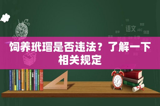 飼養玳瑁是否違法？了解一下相關規定