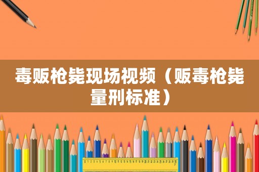 毒販槍斃現場視頻（販毒槍斃量刑標準）