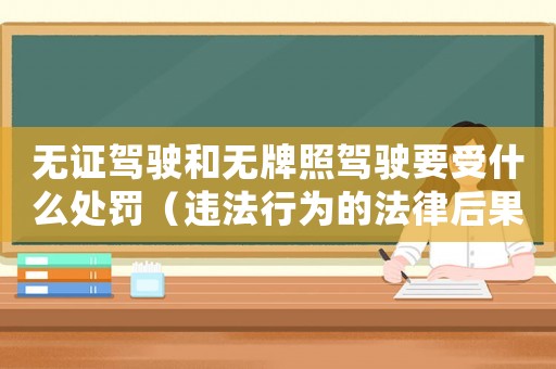 無證駕駛和無牌照駕駛要受什么處罰（違法行為的法律后果）