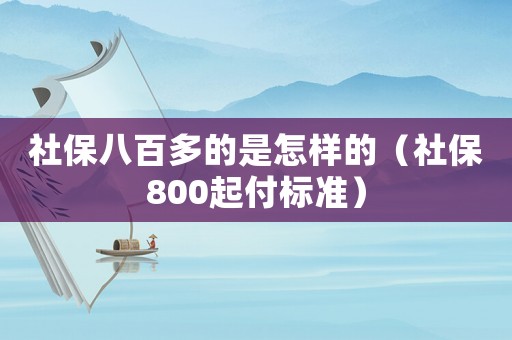 社保八百多的是怎樣的（社保800起付標準）