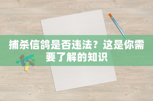 捕殺信鴿是否違法？這是你需要了解的知識