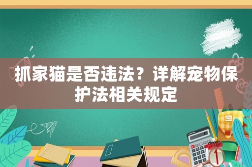 抓家貓是否違法？詳解寵物保護(hù)法相關(guān)規(guī)定