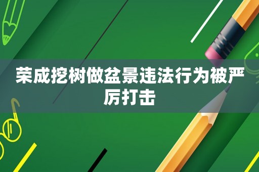 榮成挖樹做盆景違法行為被嚴厲打擊