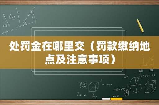 處罰金在哪里交（罰款繳納地點及注意事項）