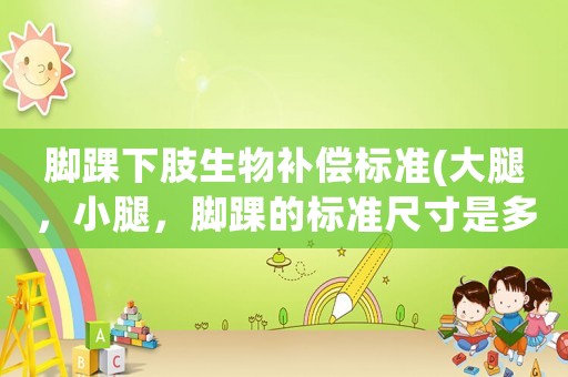 腳踝下肢生物補償標準(大腿，小腿，腳踝的標準尺寸是多少？)