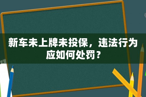 新車未上牌未投保，違法行為應如何處罰？