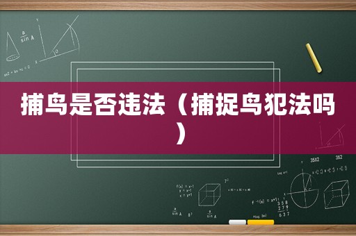 捕鳥是否違法（捕捉鳥犯法嗎）
