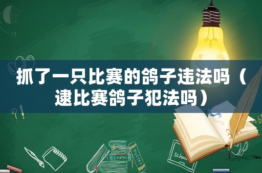 抓了一只比賽的鴿子違法嗎（逮比賽鴿子犯法嗎）