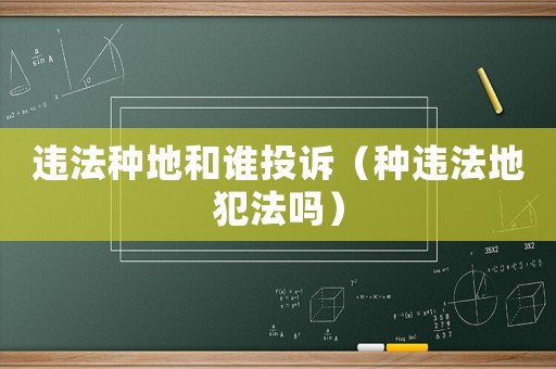 違法種地和誰投訴（種違法地犯法嗎）