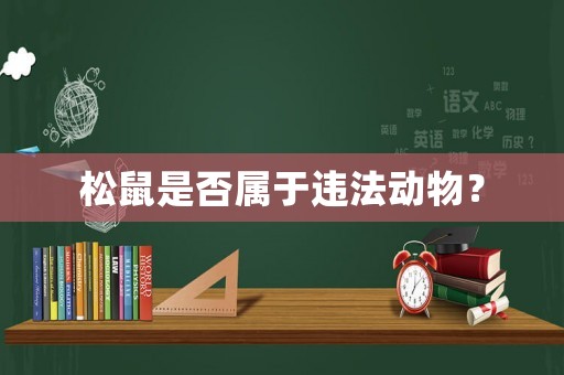 松鼠是否屬于違法動物？
