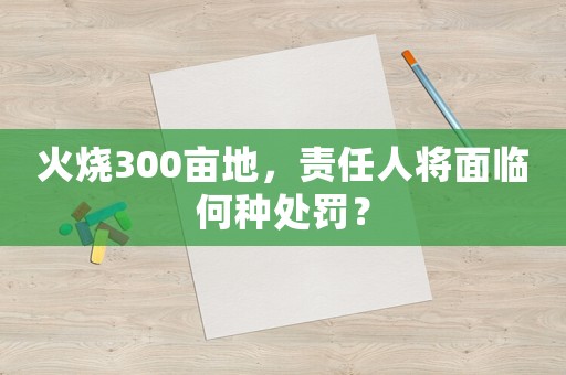 火燒300畝地，責(zé)任人將面臨何種處罰？