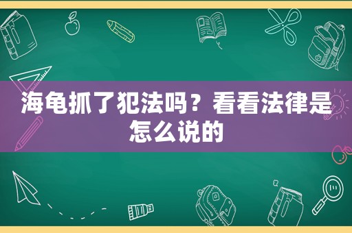 海龜抓了犯法嗎？看看法律是怎么說的