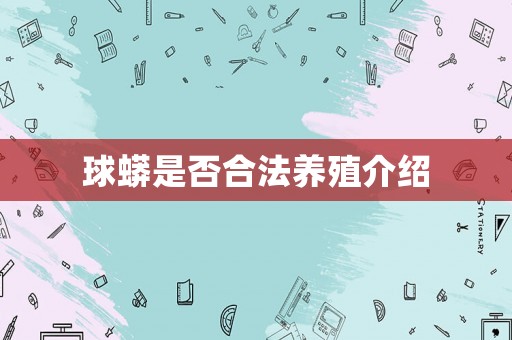 球蟒是否合法養殖介紹