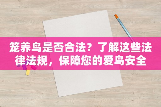 籠養鳥是否合法？了解這些法律法規，保障您的愛鳥安全