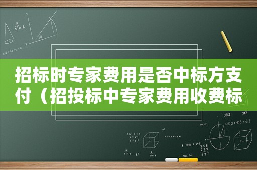 招標時專家費用是否中標方支付（招投標中專家費用收費標準）