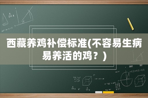 西藏養雞補償標準(不容易生病易養活的雞？)