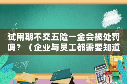 試用期不交五險一金會被處罰嗎？（企業與員工都需要知道的法律風險）