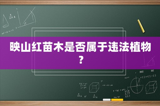 映山紅苗木是否屬于違法植物？
