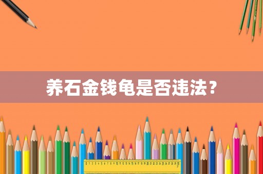 養(yǎng)石金錢龜是否違法？