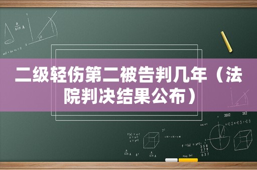 二級輕傷第二被告判幾年（法院判決結果公布）