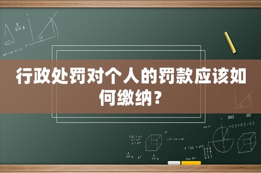 行政處罰對個人的罰款應該如何繳納？